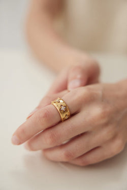 Stardust Crest Ring - Sterling Silver / 18K Gold Vermeil - Beau One
